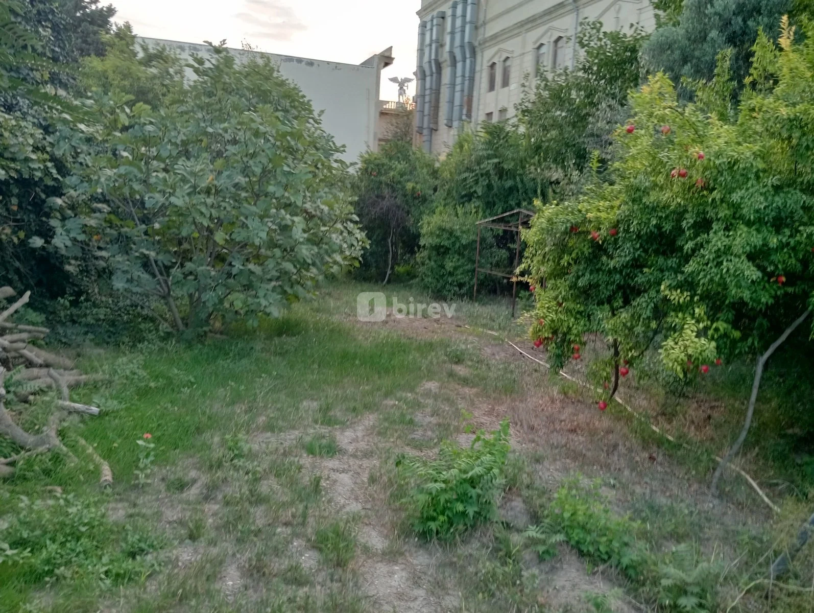 19 sot torpaq, Nizami rayonu, Çobanzadə, Bakı şəhəri — şəkil 10