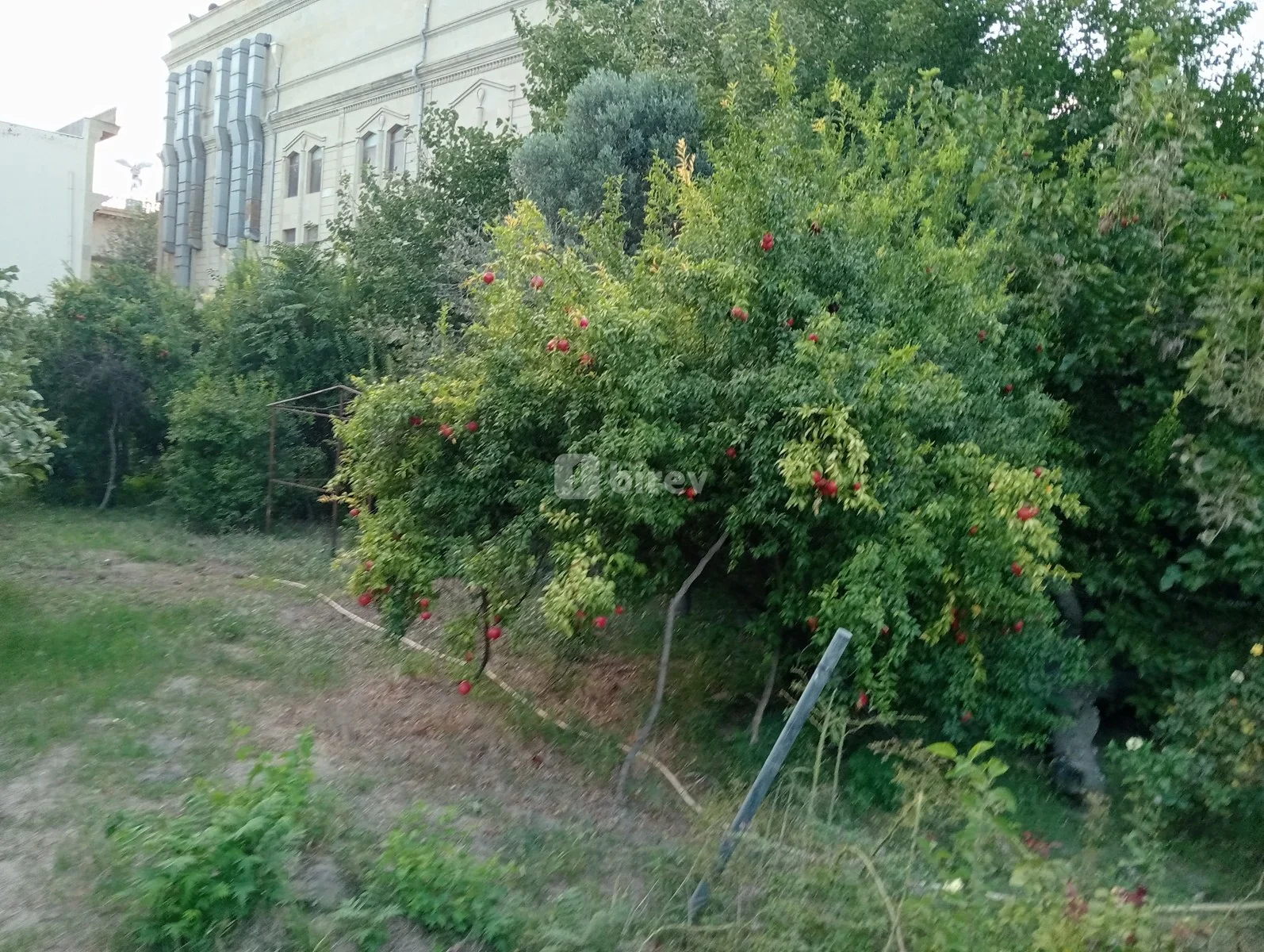 19 sot torpaq, Nizami rayonu, Çobanzadə, Bakı şəhəri — şəkil 11
