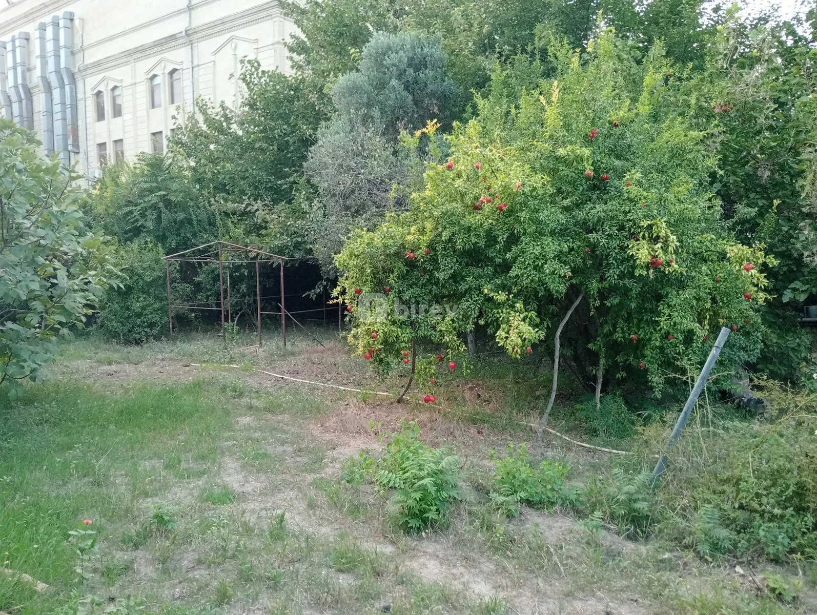19 sot torpaq, Nizami rayonu, Çobanzadə, Bakı şəhəri — şəkil 12