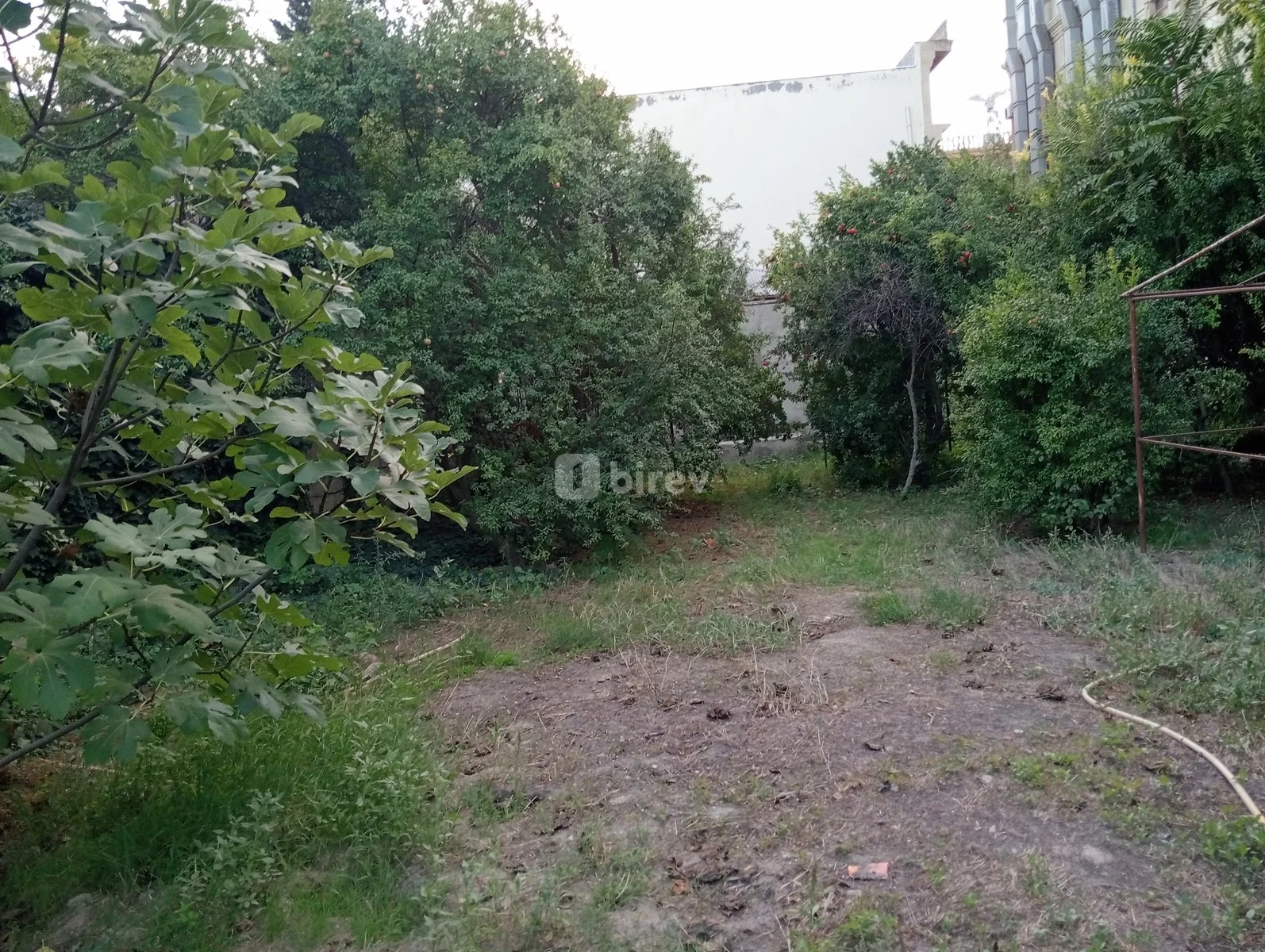 19 sot torpaq, Nizami rayonu, Çobanzadə, Bakı şəhəri — şəkil 14