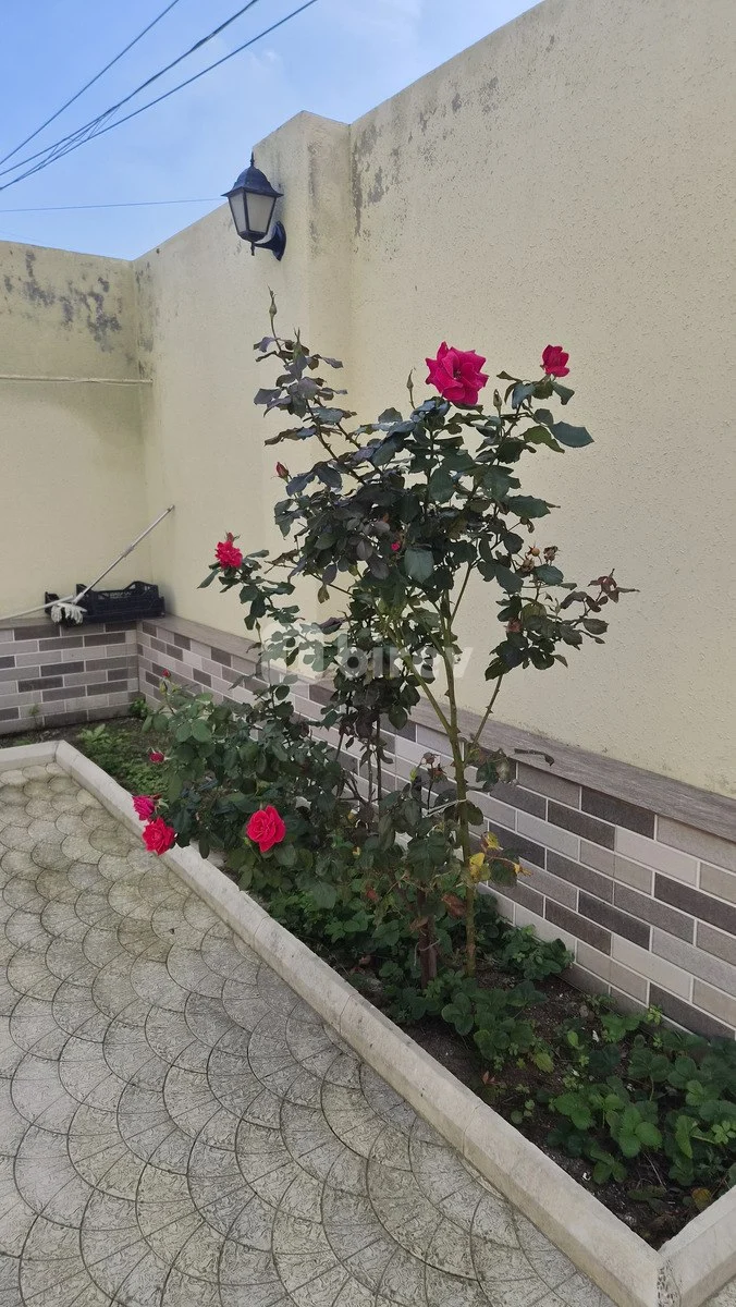 4 otaqlı həyət evi, Məmmədli q., Seyid Əzim Şirvani küçəsi, Abşeron rayonu — şəkil 5