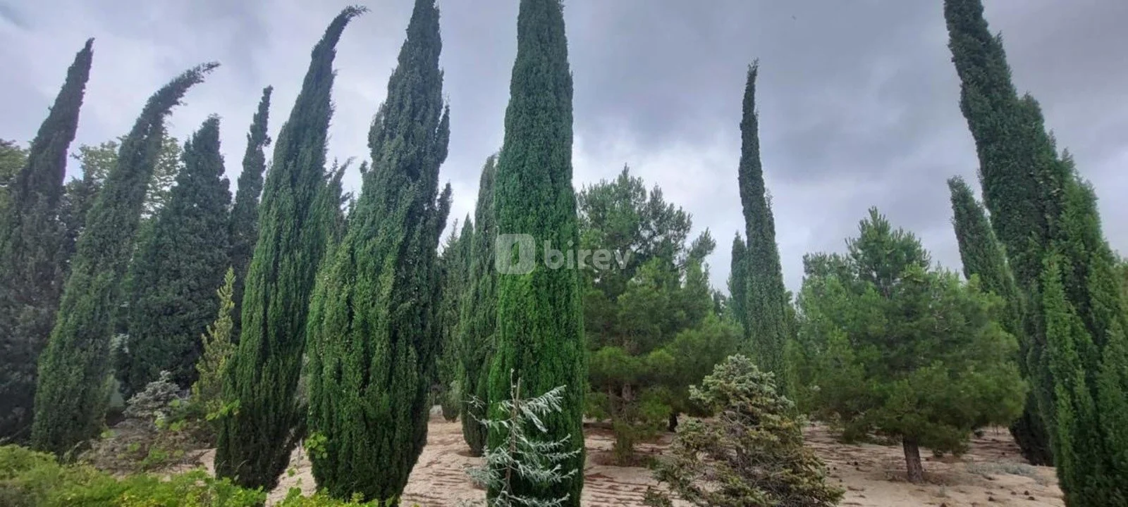 8 otaqlı həyət evi, Novxanı q., Novxanı qəsəbəsi, Abşeron rayonu — şəkil 1