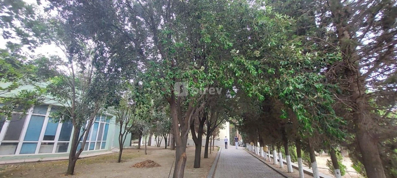 8 otaqlı həyət evi, Novxanı q., Novxanı qəsəbəsi, Abşeron rayonu — şəkil 2