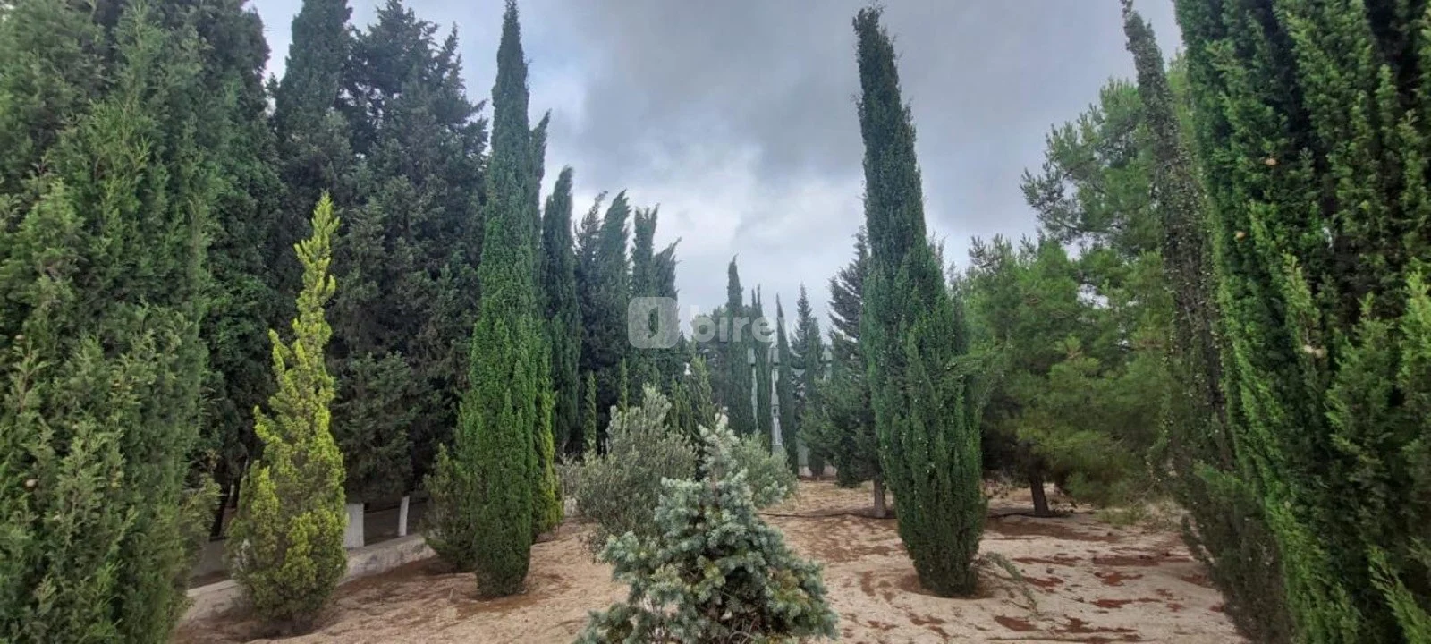 8 otaqlı həyət evi, Novxanı q., Novxanı qəsəbəsi, Abşeron rayonu — şəkil 3