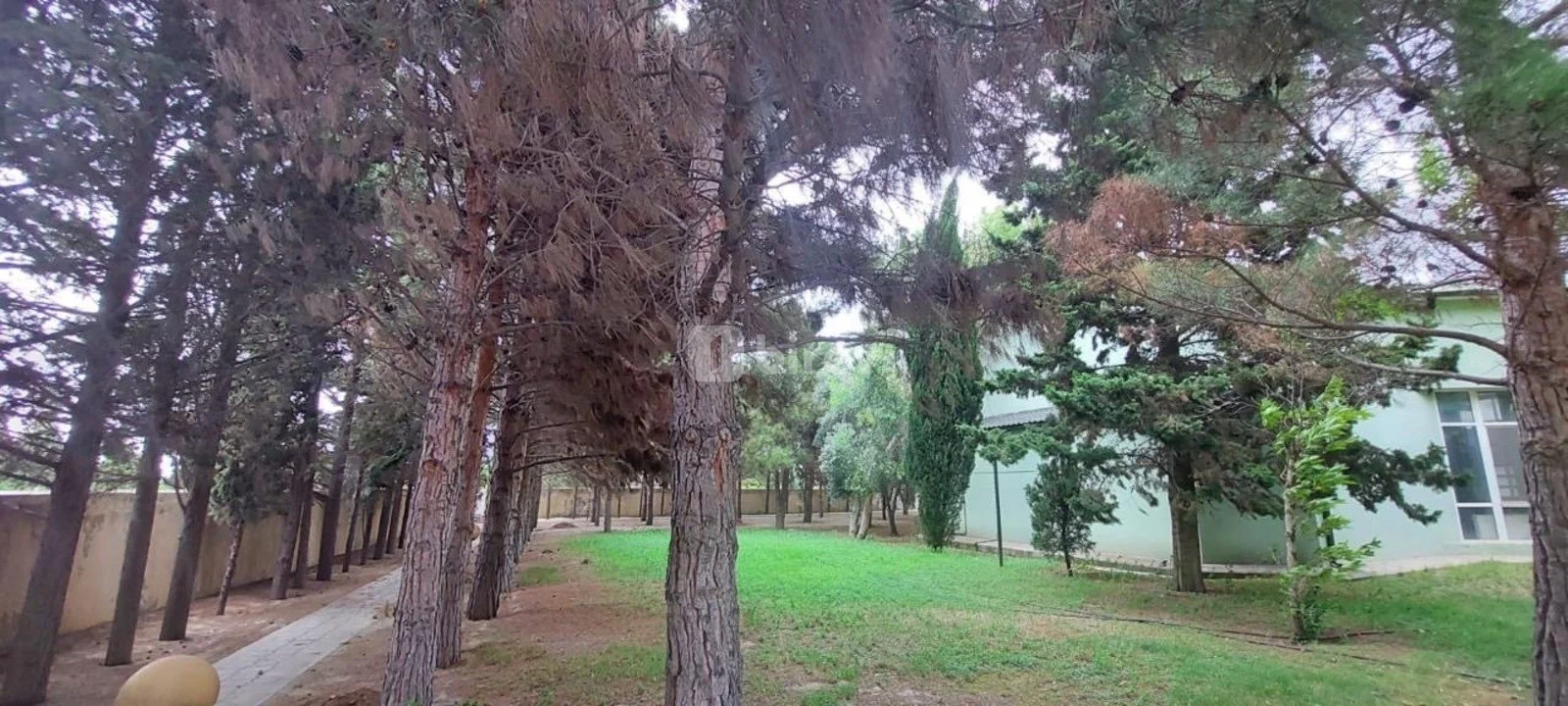 8 otaqlı həyət evi, Novxanı q., Novxanı qəsəbəsi, Abşeron rayonu — şəkil 9