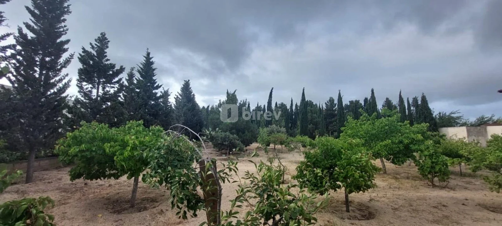 8 otaqlı həyət evi, Novxanı q., Novxanı qəsəbəsi, Abşeron rayonu — şəkil 11
