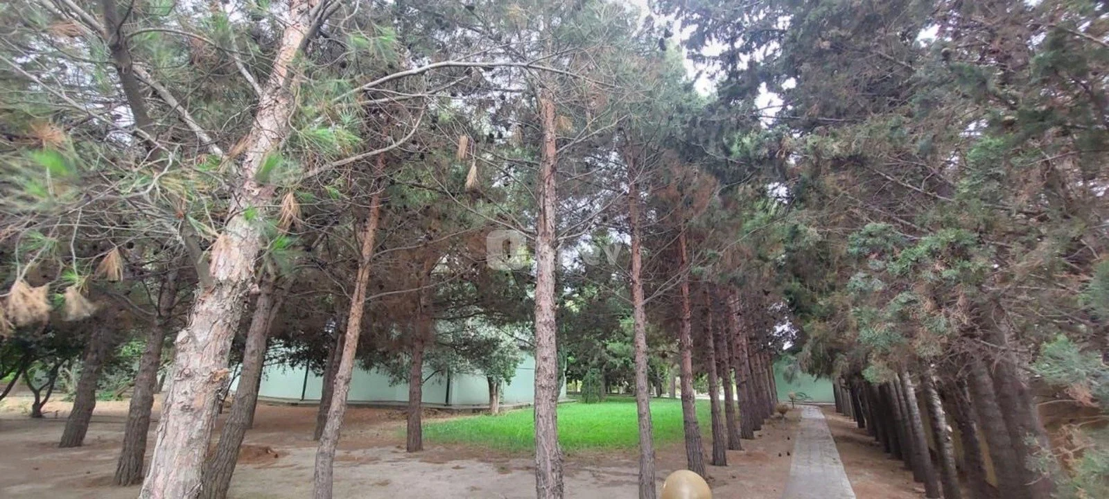 8 otaqlı həyət evi, Novxanı q., Novxanı qəsəbəsi, Abşeron rayonu — şəkil 17