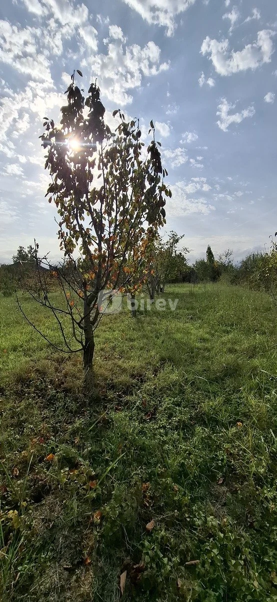 5 otaqlı həyət evi, Xaçmaz rayonu, Xaçmaz rayonu — şəkil 11