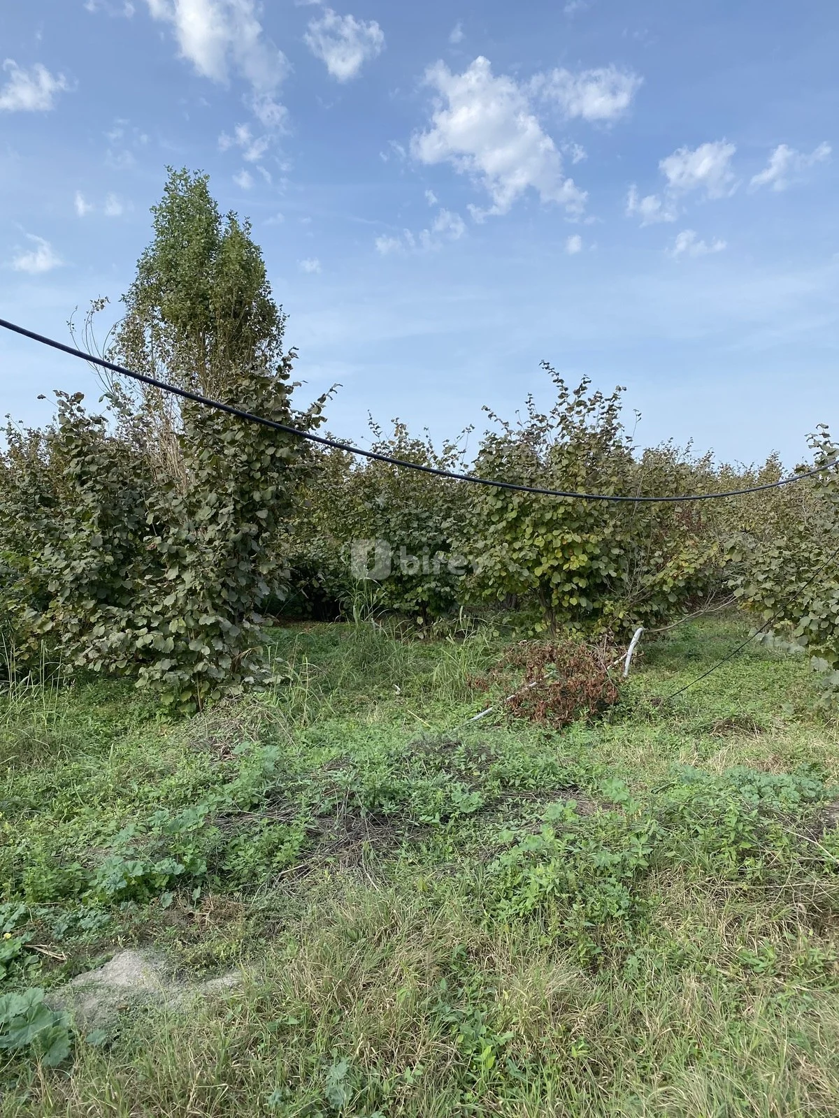 5 otaqlı həyət evi, Xaçmaz rayonu, Xaçmaz rayonu — şəkil 20