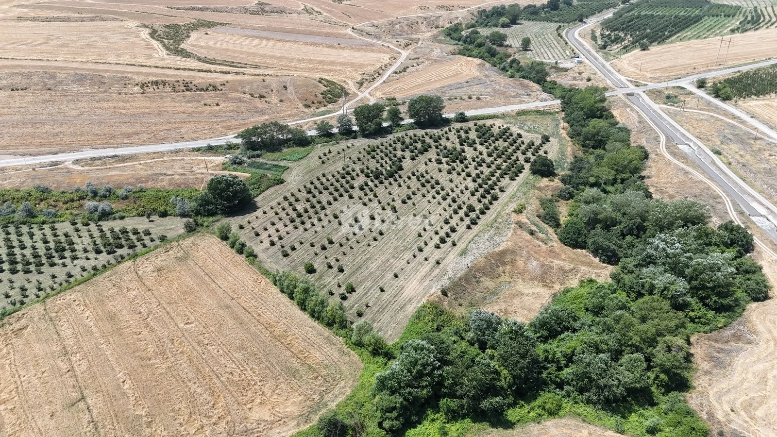 600 sot torpaq, Qusar rayonu, Qusar rayonu — şəkil 1