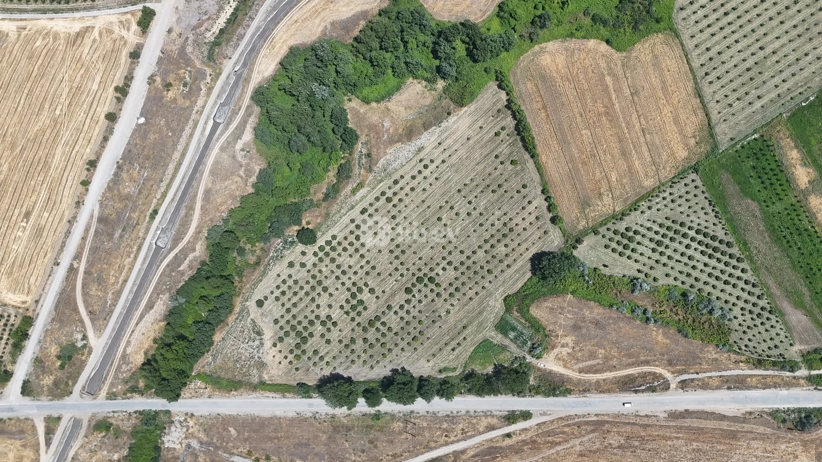 600 sot torpaq, Qusar rayonu, Qusar rayonu — şəkil 4