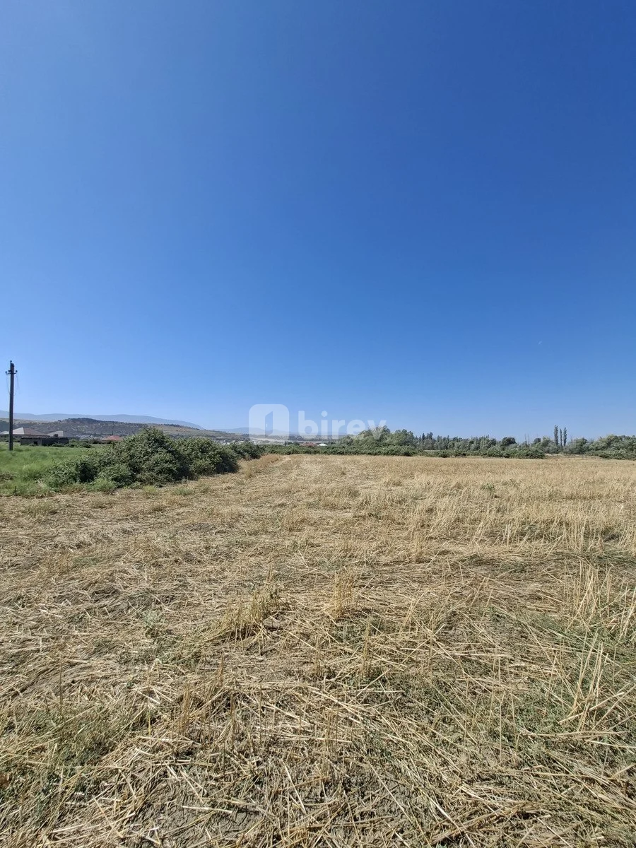 160 sot torpaq, Şabran rayonu, Şabran şəhəri, Şabran rayonu — şəkil 5