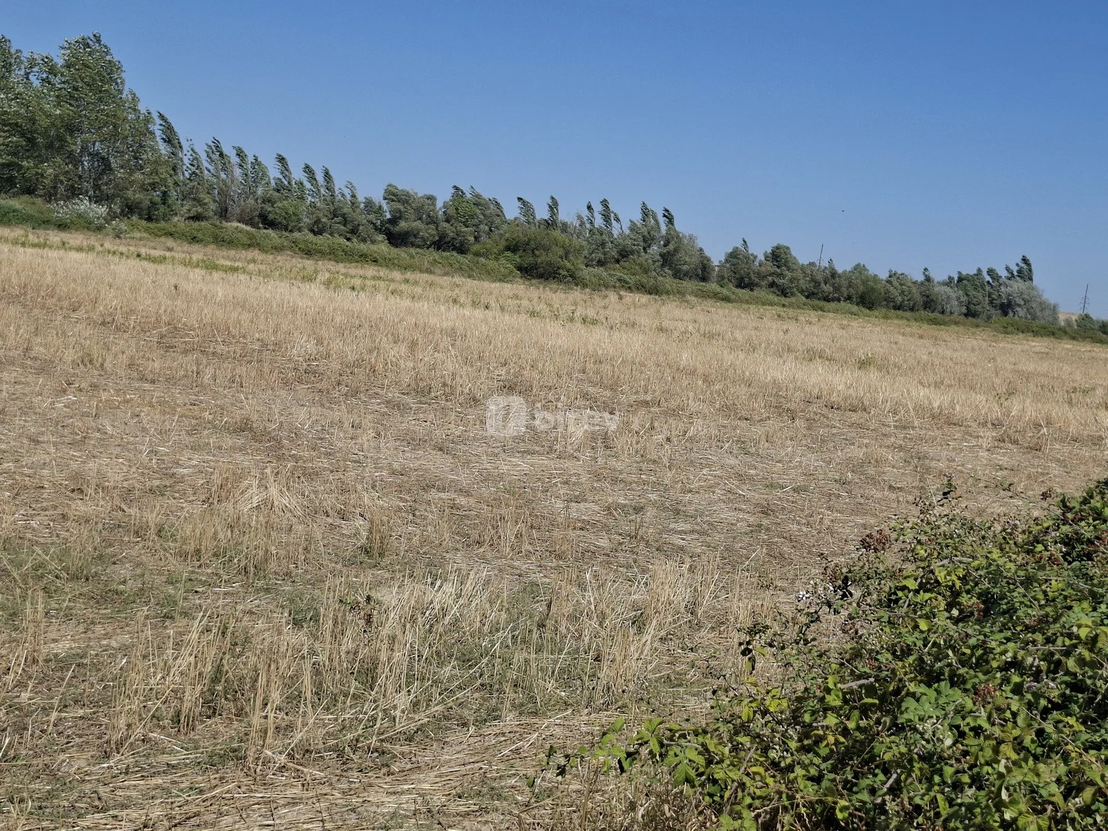 160 sot torpaq, Şabran rayonu, Şabran şəhəri, Şabran rayonu — şəkil 6