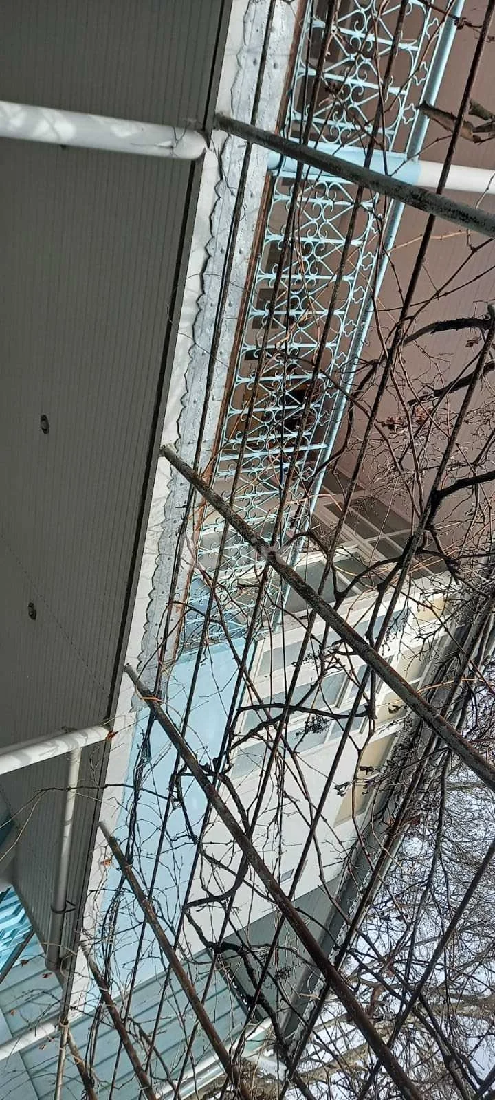 5 otaqlı həyət evi, Şamaxı rayonu, Abbas Mirzə Şərifzadə küçəsi 24a, Şamaxı rayonu — şəkil 1