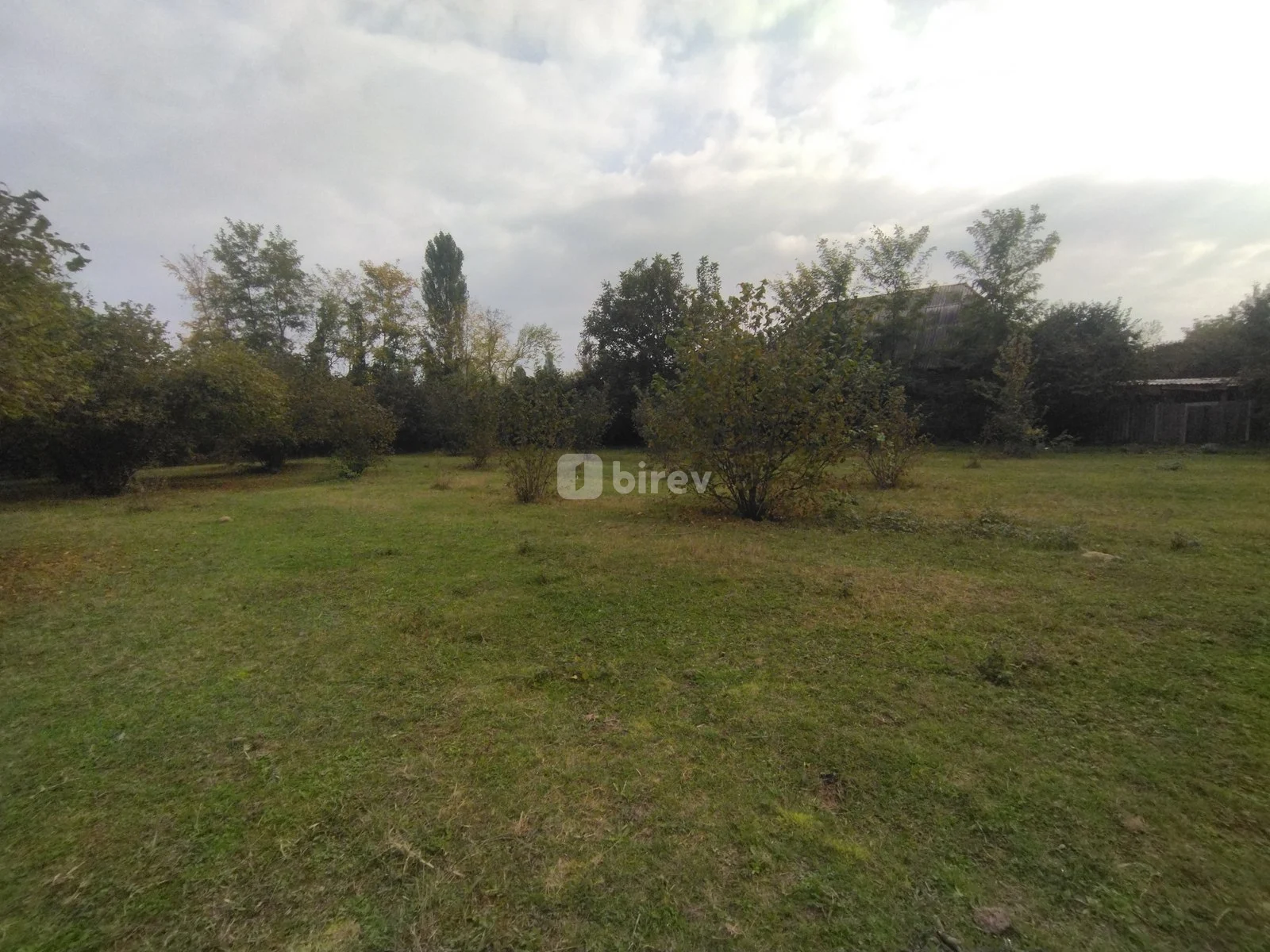 10 sot torpaq, Qəbələ rayonu, Daşlıca kəndi — şəkil 4