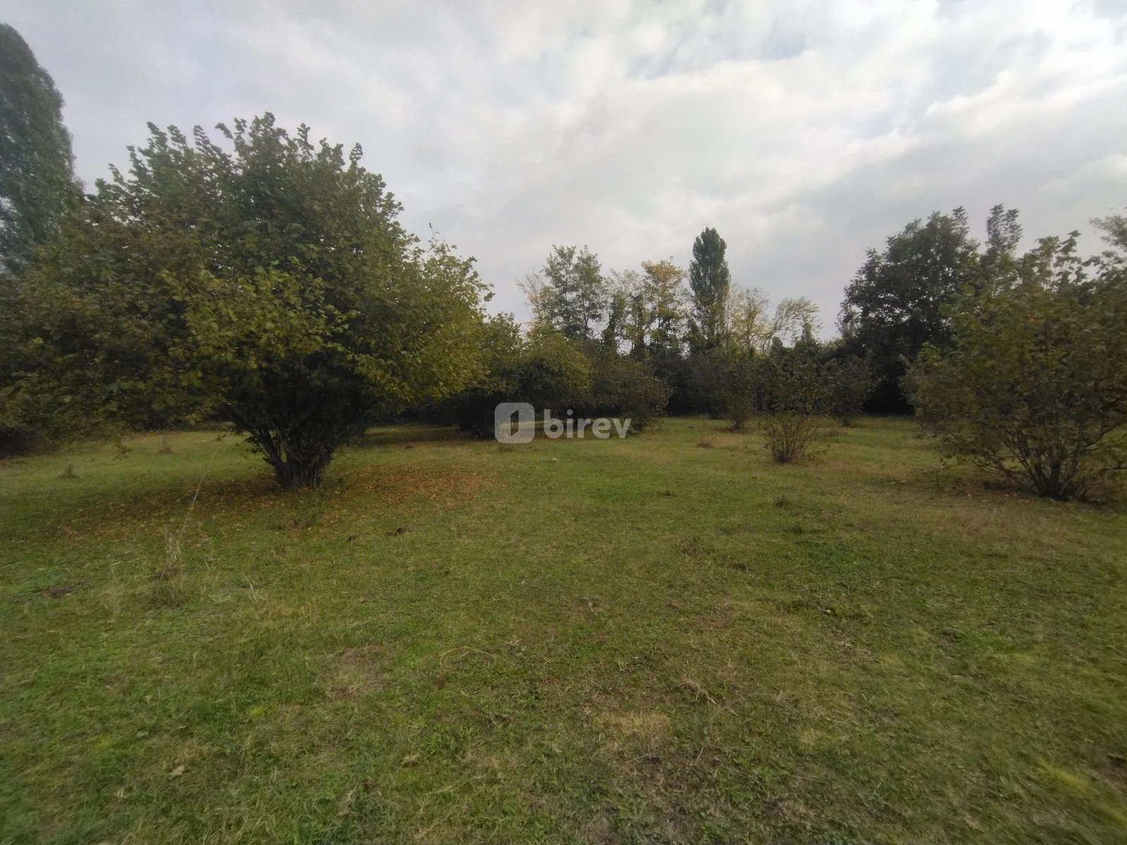 10 sot torpaq, Qəbələ rayonu, Daşlıca kəndi — şəkil 7