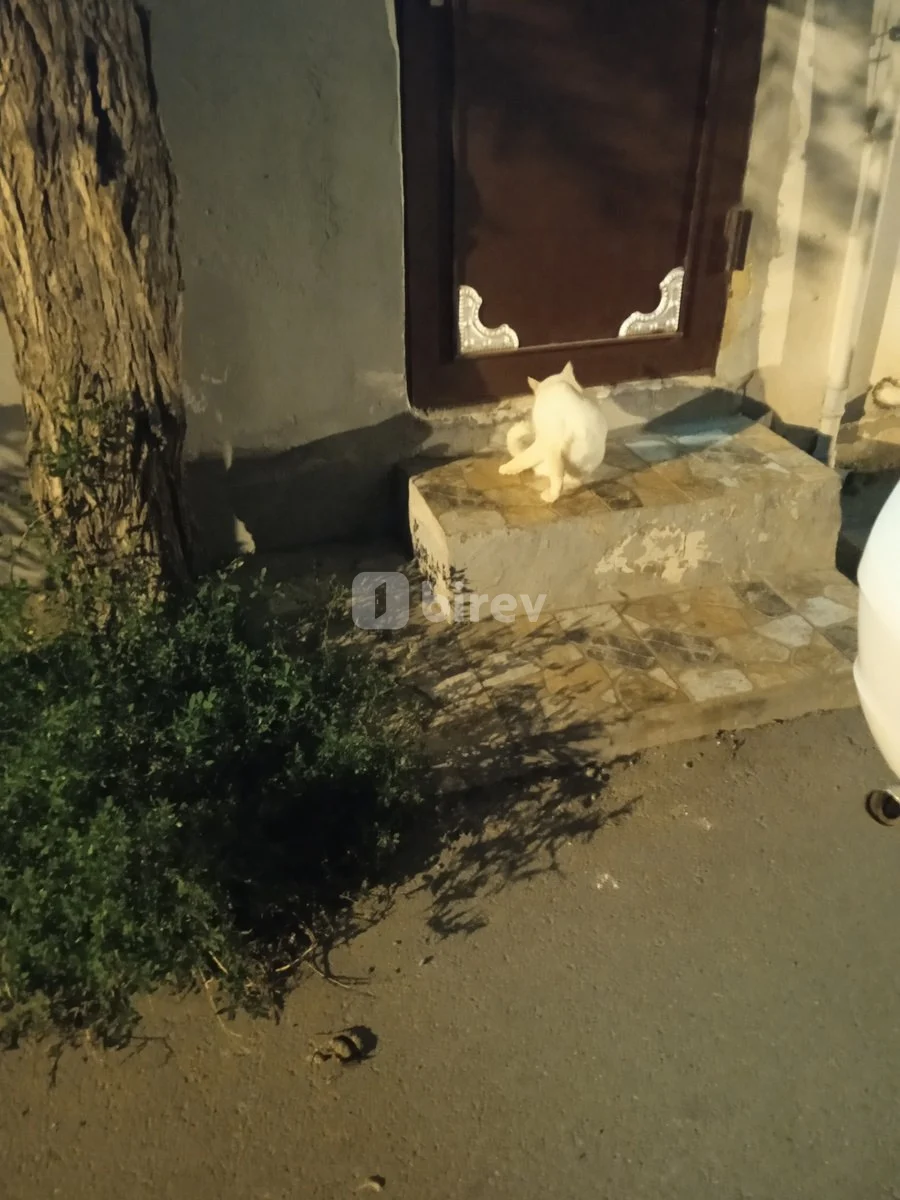1 otaqlı həyət evi, Əhmədli q., Əhmədli qəs., Xətai rayonu — şəkil 4