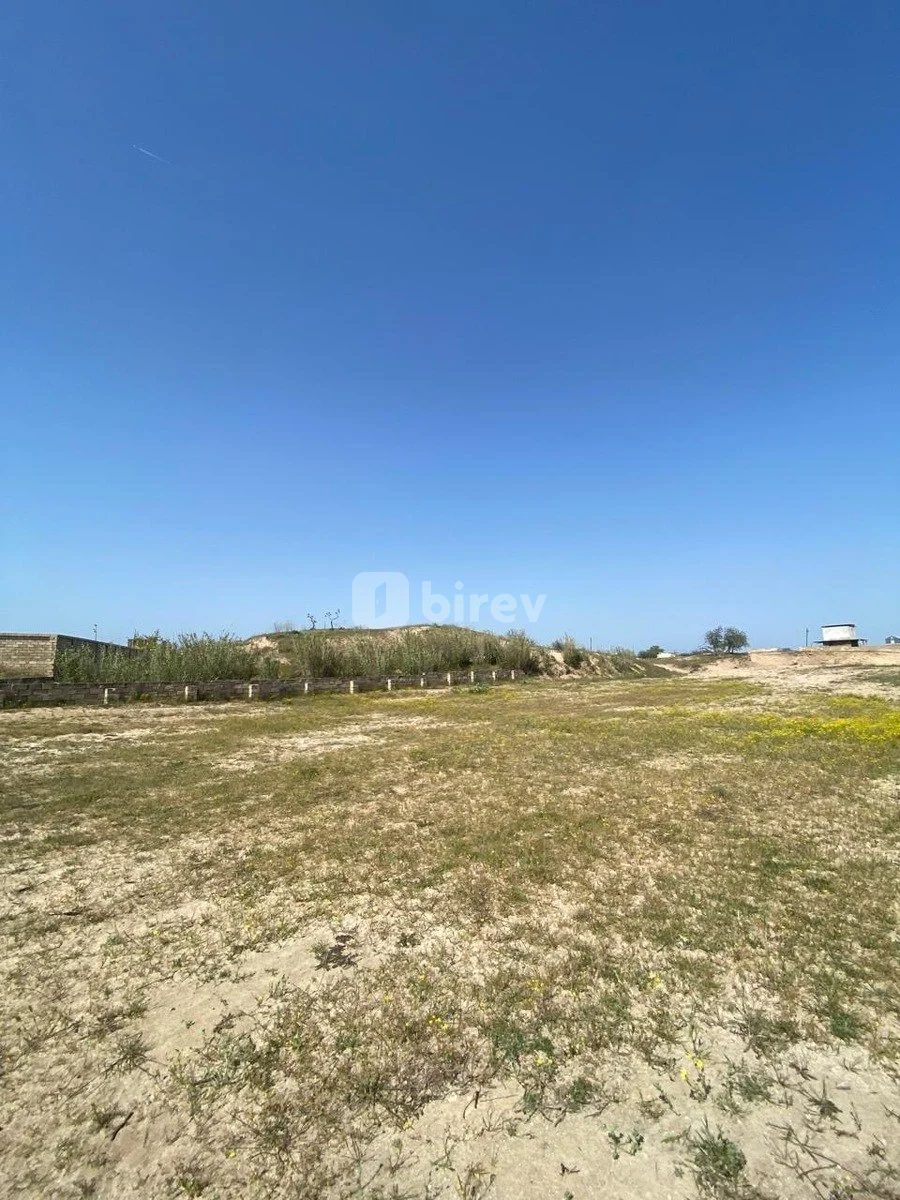 2.4 sot torpaq, Nardaran q., Nardaran Ləhiş Bağları, Sabunçu rayonu — şəkil 2