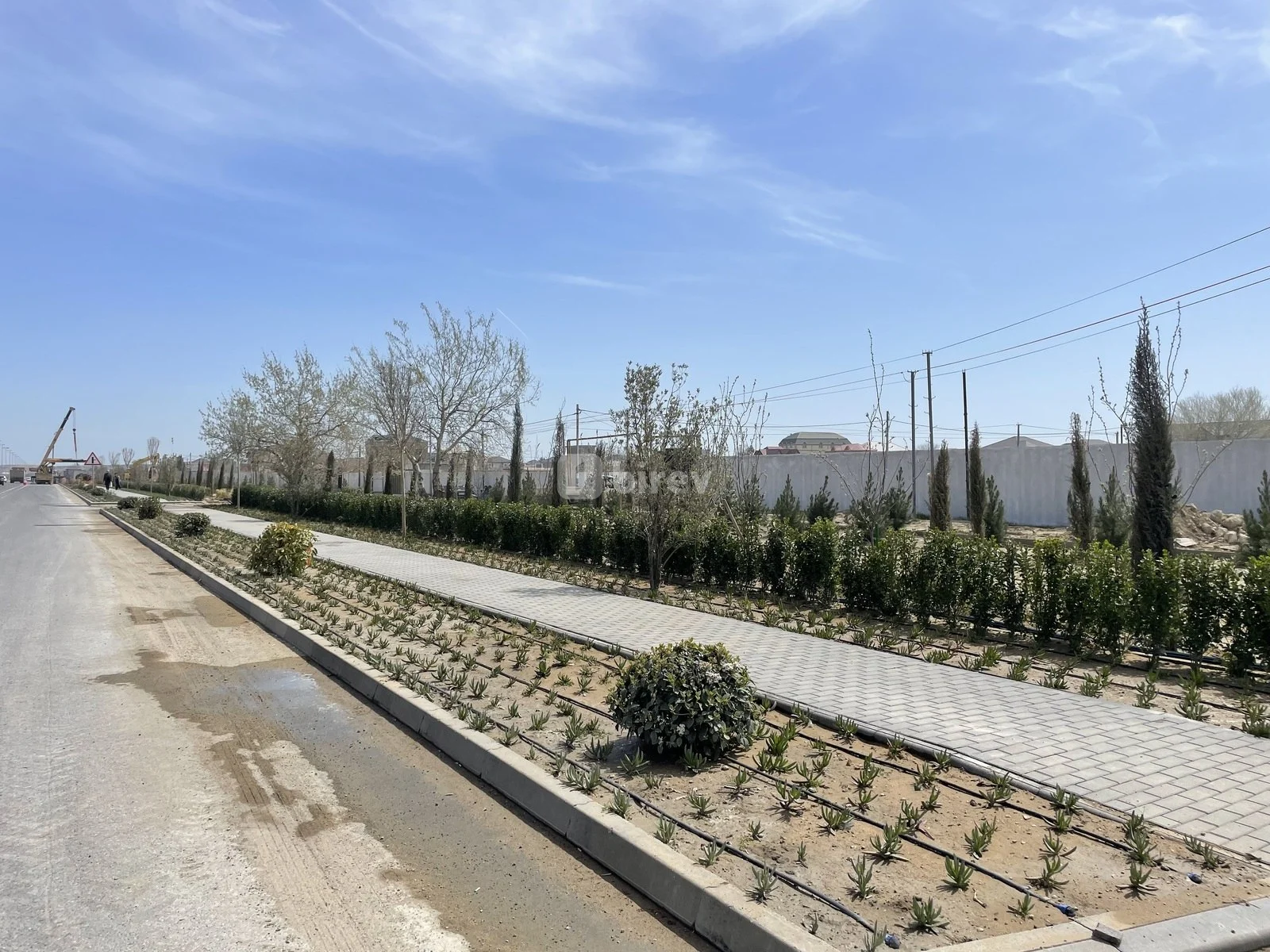 2.4 sot torpaq, Nardaran q., Nardaran Ləhiş Bağları, Sabunçu rayonu — şəkil 5