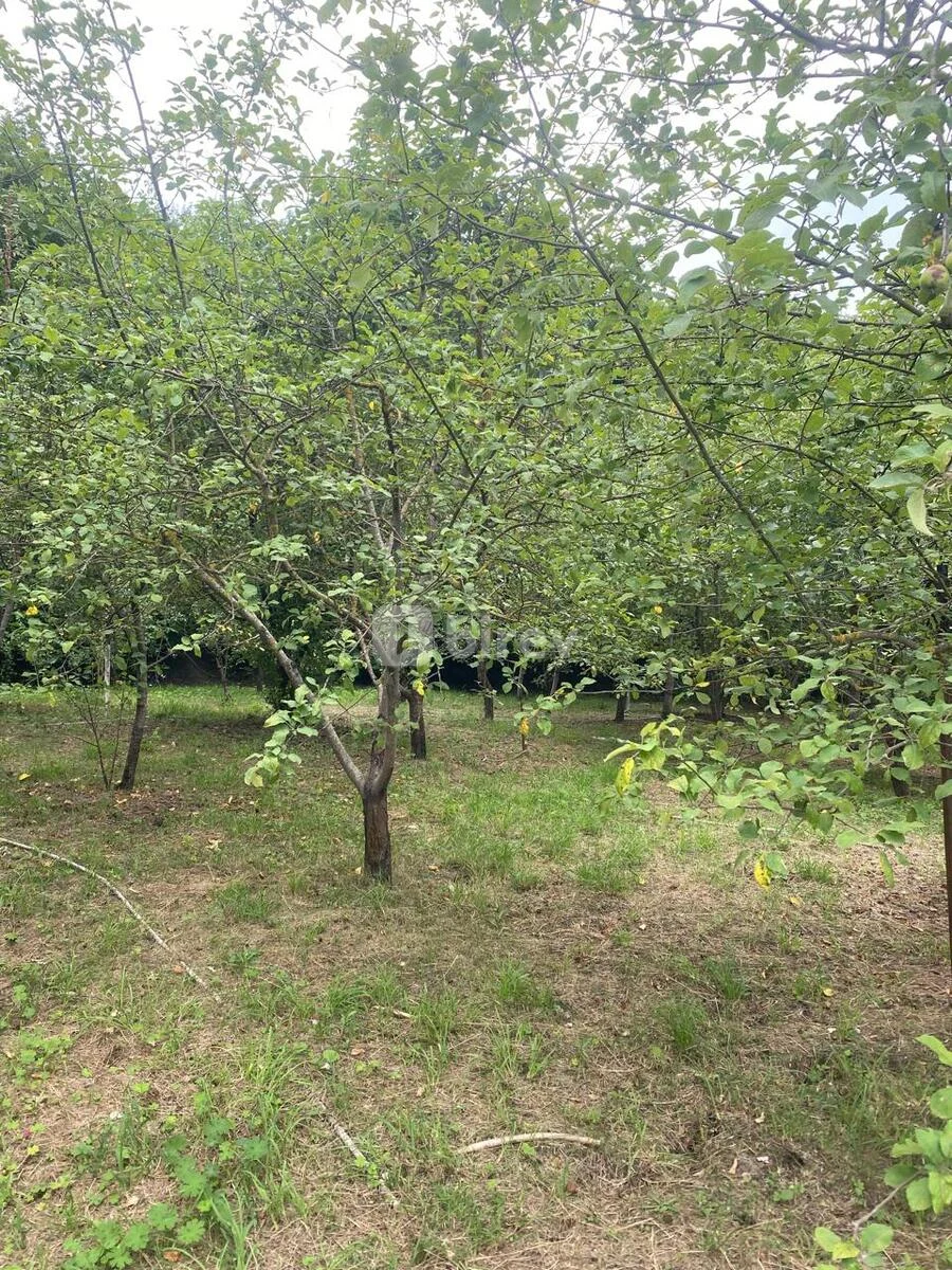 5 otaqlı həyət evi, Quba rayonu, Quba rayonu, Quba rayonu — şəkil 6