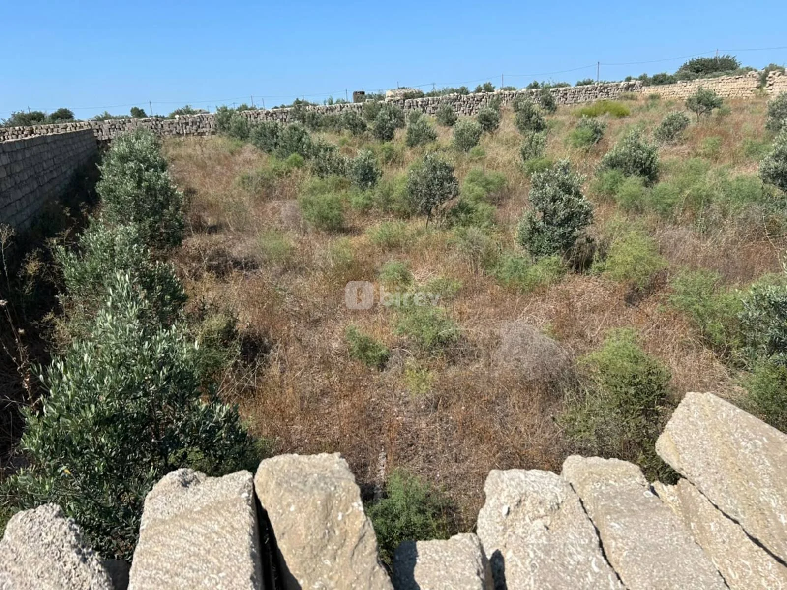 3 sot torpaq, Türkan q., Türkan qəs., Xəzər rayonu — şəkil 2