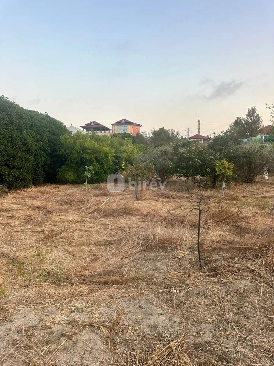 2.5 sot torpaq, Novxanı q., novxani baglari, Abşeron rayonu — şəkil 3