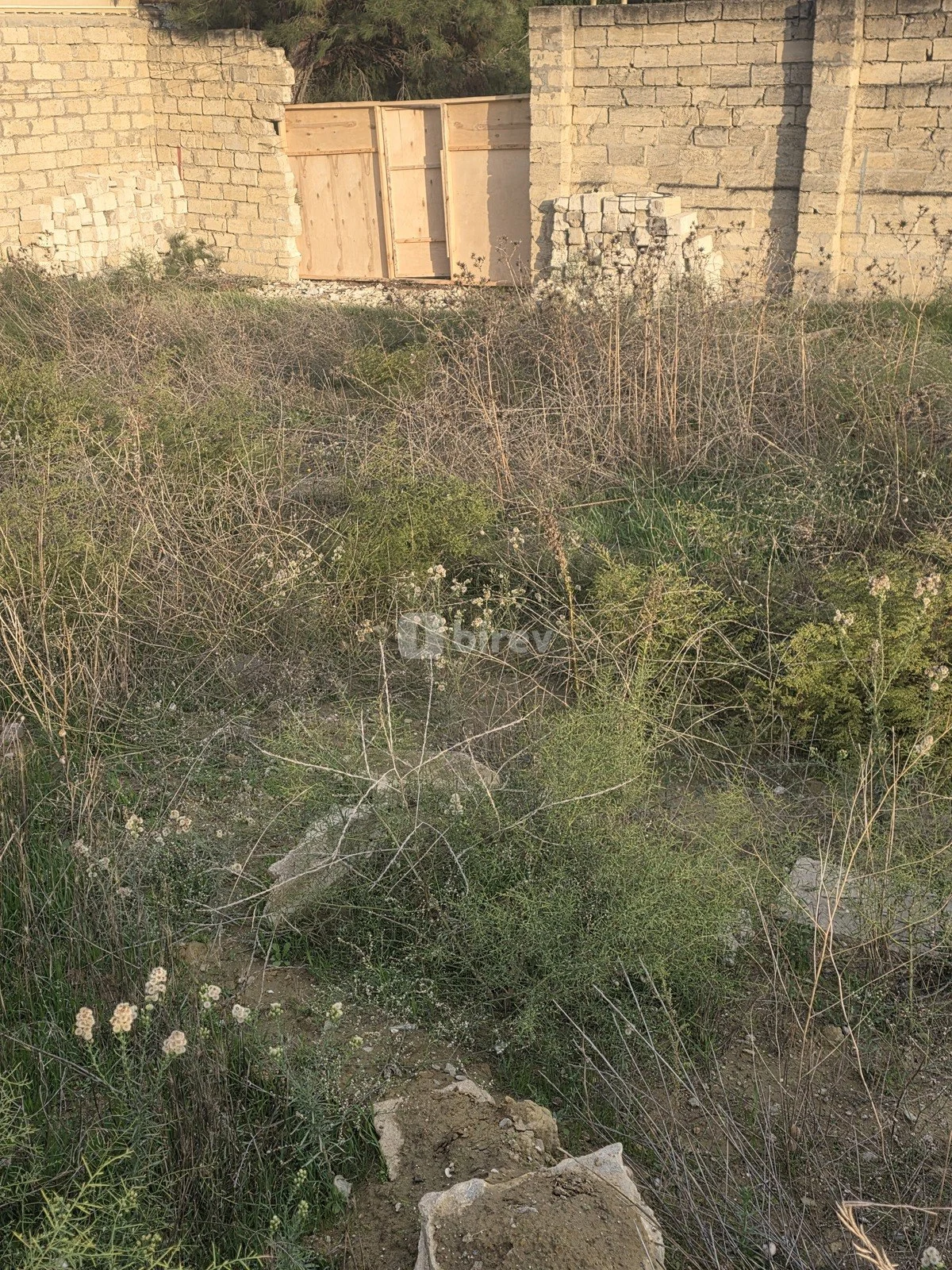 3.5 sot torpaq, Badamdar q., Badamdar qəsəbəsi, Səbail rayonu — şəkil 2