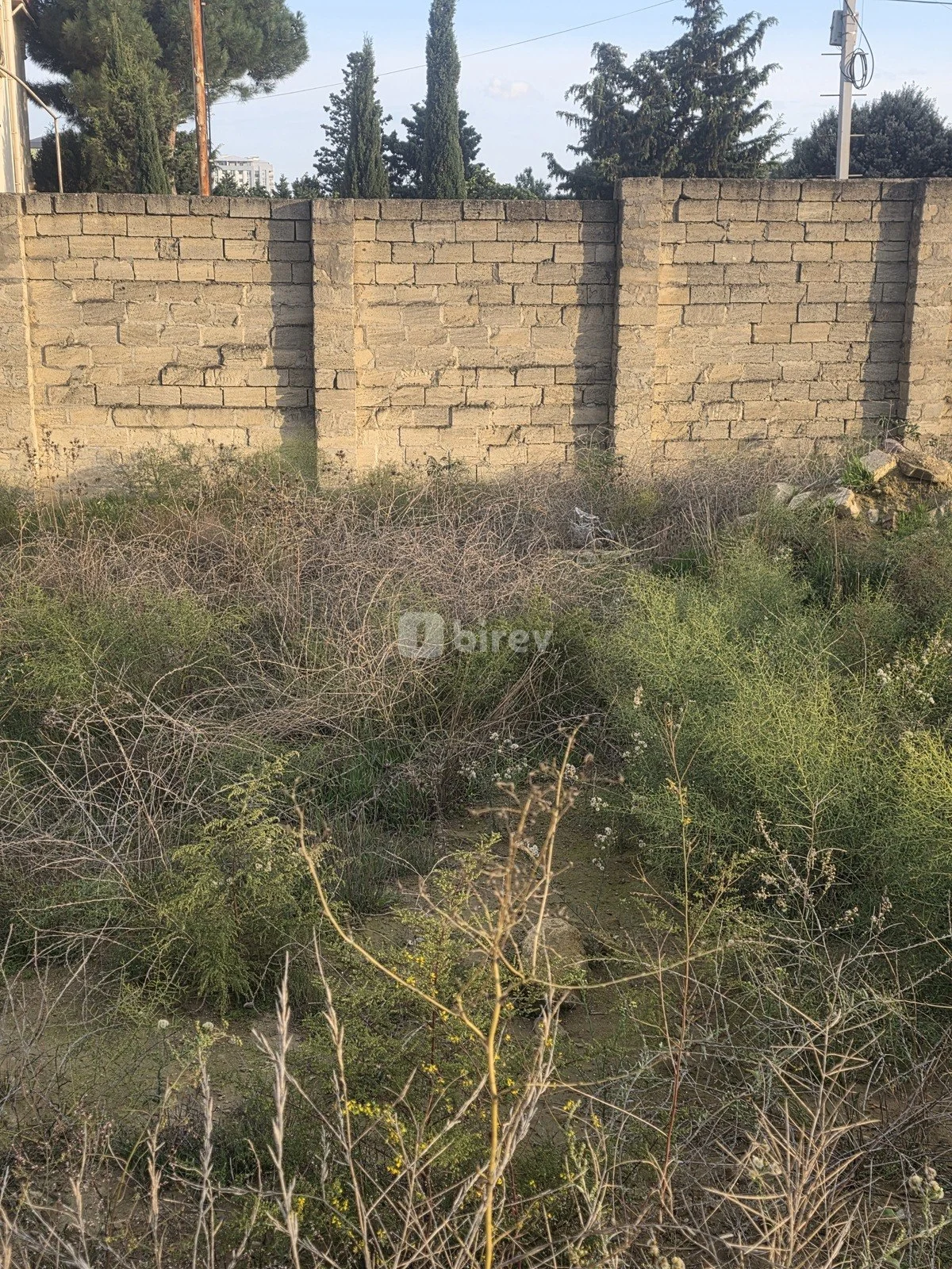 3.5 sot torpaq, Badamdar q., Badamdar qəsəbəsi, Səbail rayonu — şəkil 3