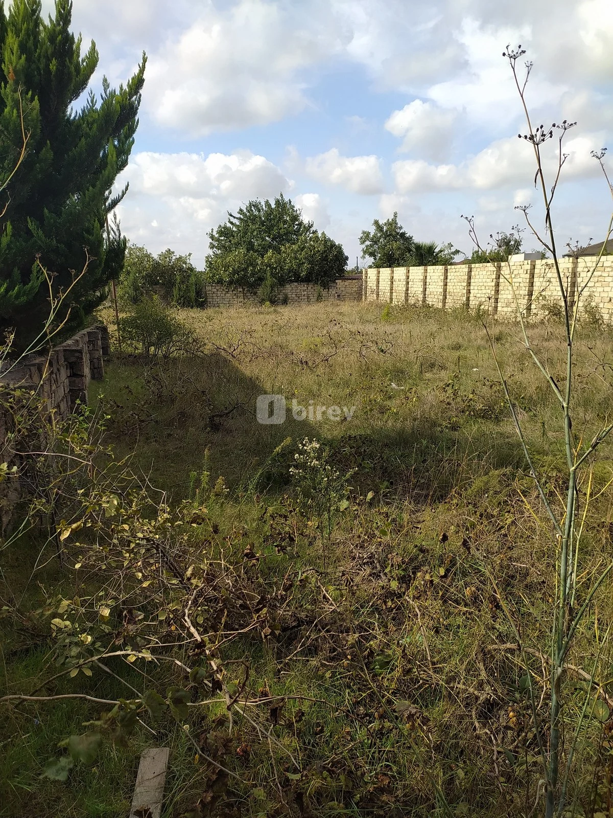 10 sot torpaq, Maştağa q., Asəf Zeynallı, Sabunçu rayonu — şəkil 3