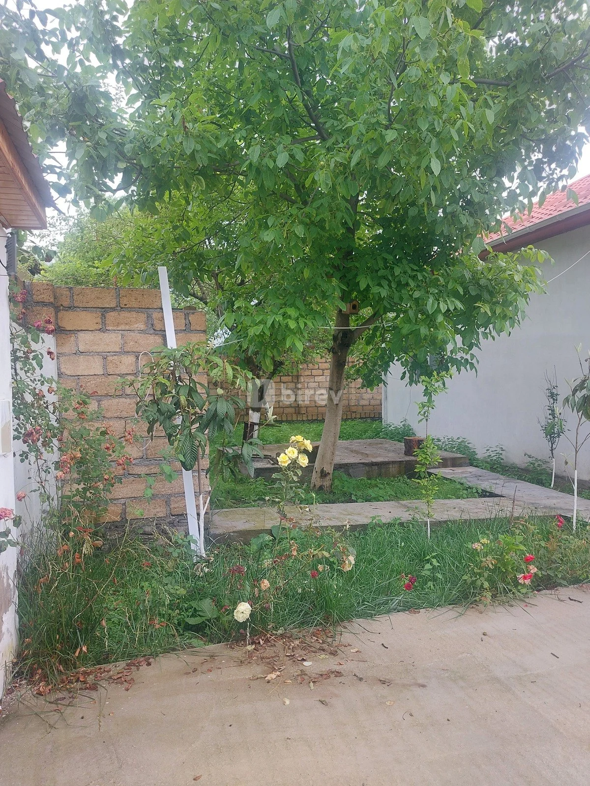 3 otaqlı həyət evi, Qəbələ rayonu, M.F.Axundov küçəsi, Qəbələ rayonu — şəkil 9