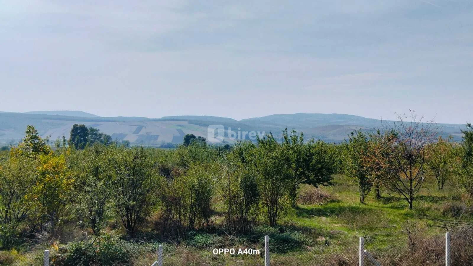 50 sot torpaq, İsmayıllı rayonu, İsmayıllı rayonu — şəkil 2