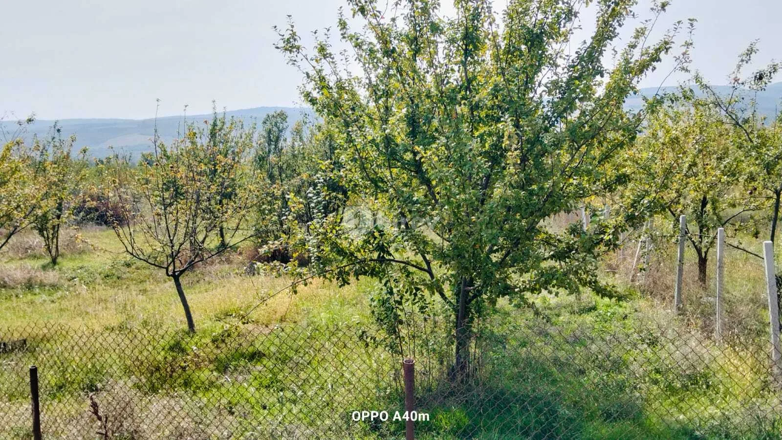 50 sot torpaq, İsmayıllı rayonu, İsmayıllı rayonu — şəkil 4