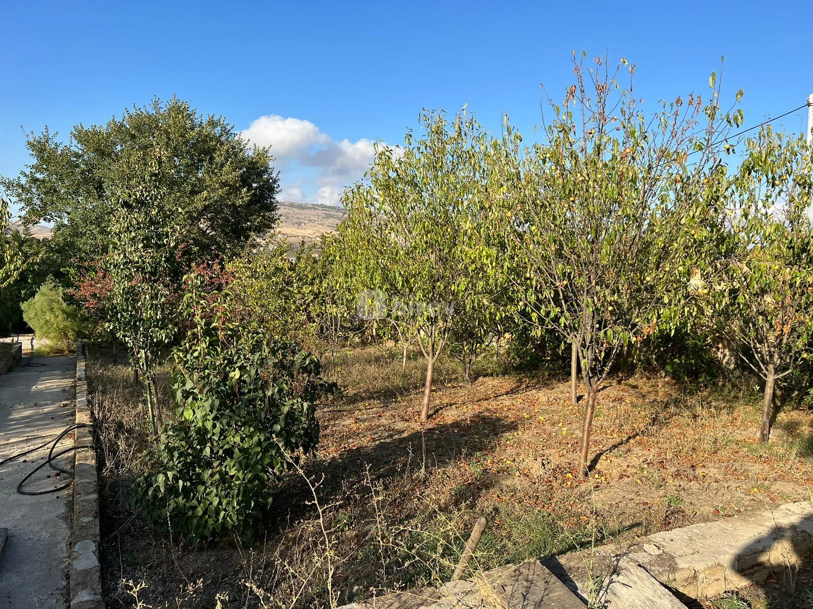 17 sot torpaq, Xızı rayonu, Xızı şəhəri, Xızı rayonu — şəkil 1