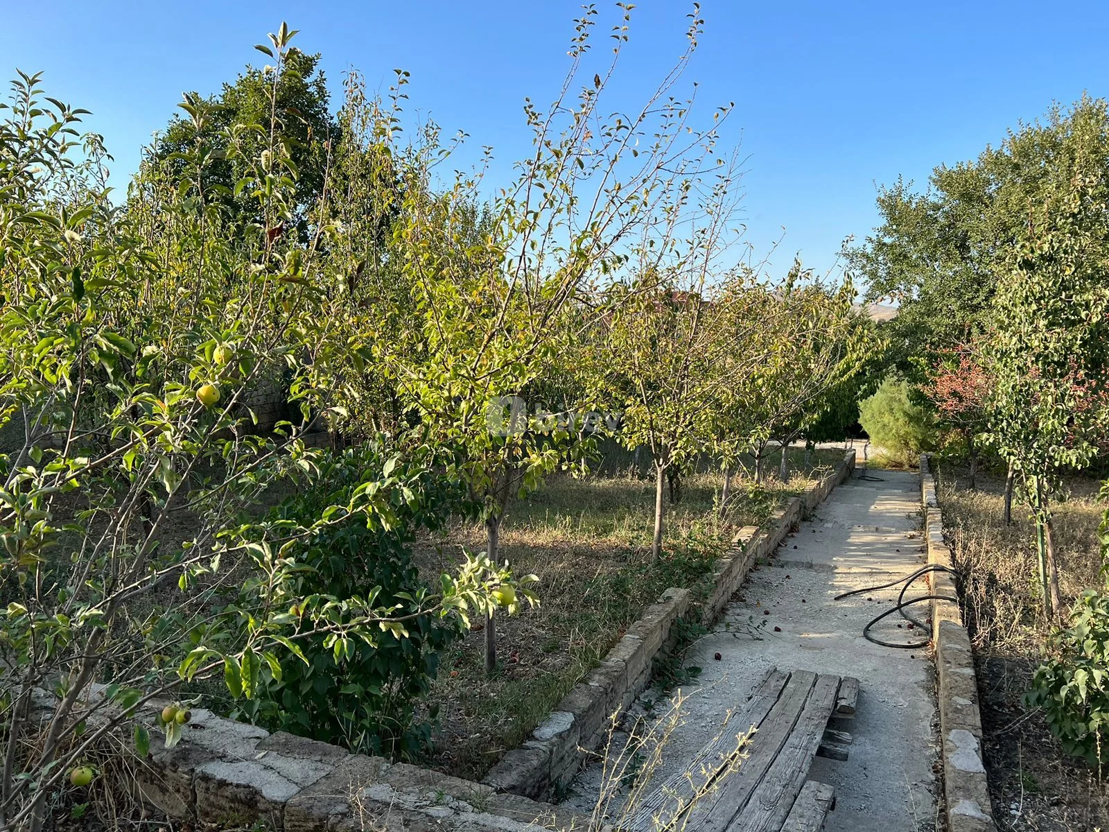 17 sot torpaq, Xızı rayonu, Xızı şəhəri, Xızı rayonu — şəkil 4