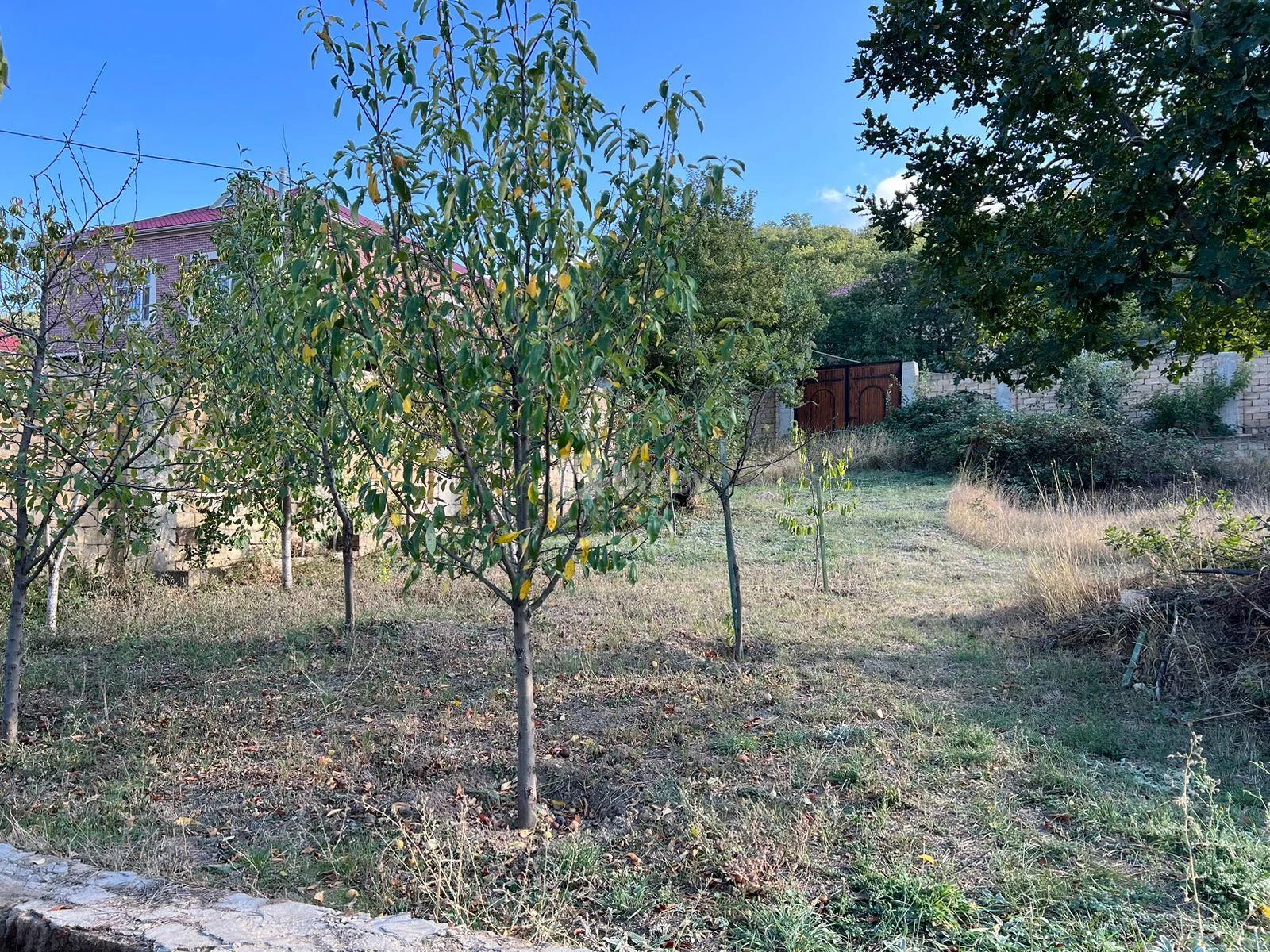 17 sot torpaq, Xızı rayonu, Xızı şəhəri, Xızı rayonu — şəkil 6