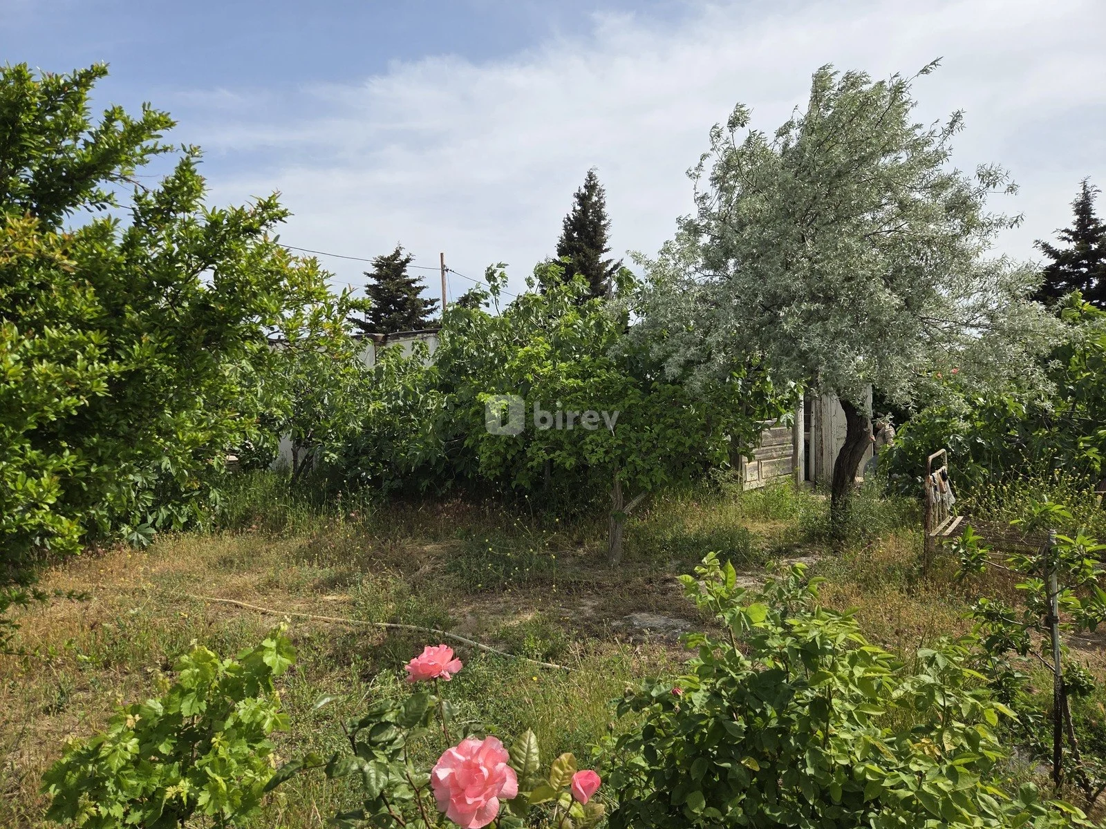 6.4 sot torpaq, Albalılıq q., Albalılıq qəs., Sabunçu rayonu — şəkil 1