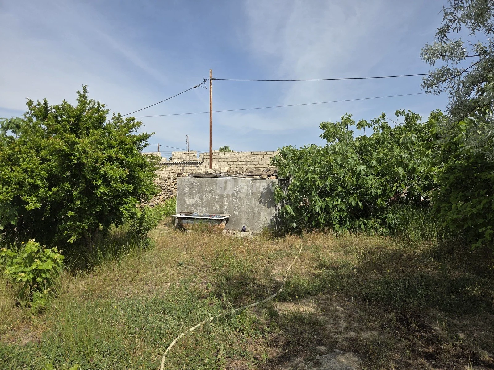 6.4 sot torpaq, Albalılıq q., Albalılıq qəs., Sabunçu rayonu — şəkil 3