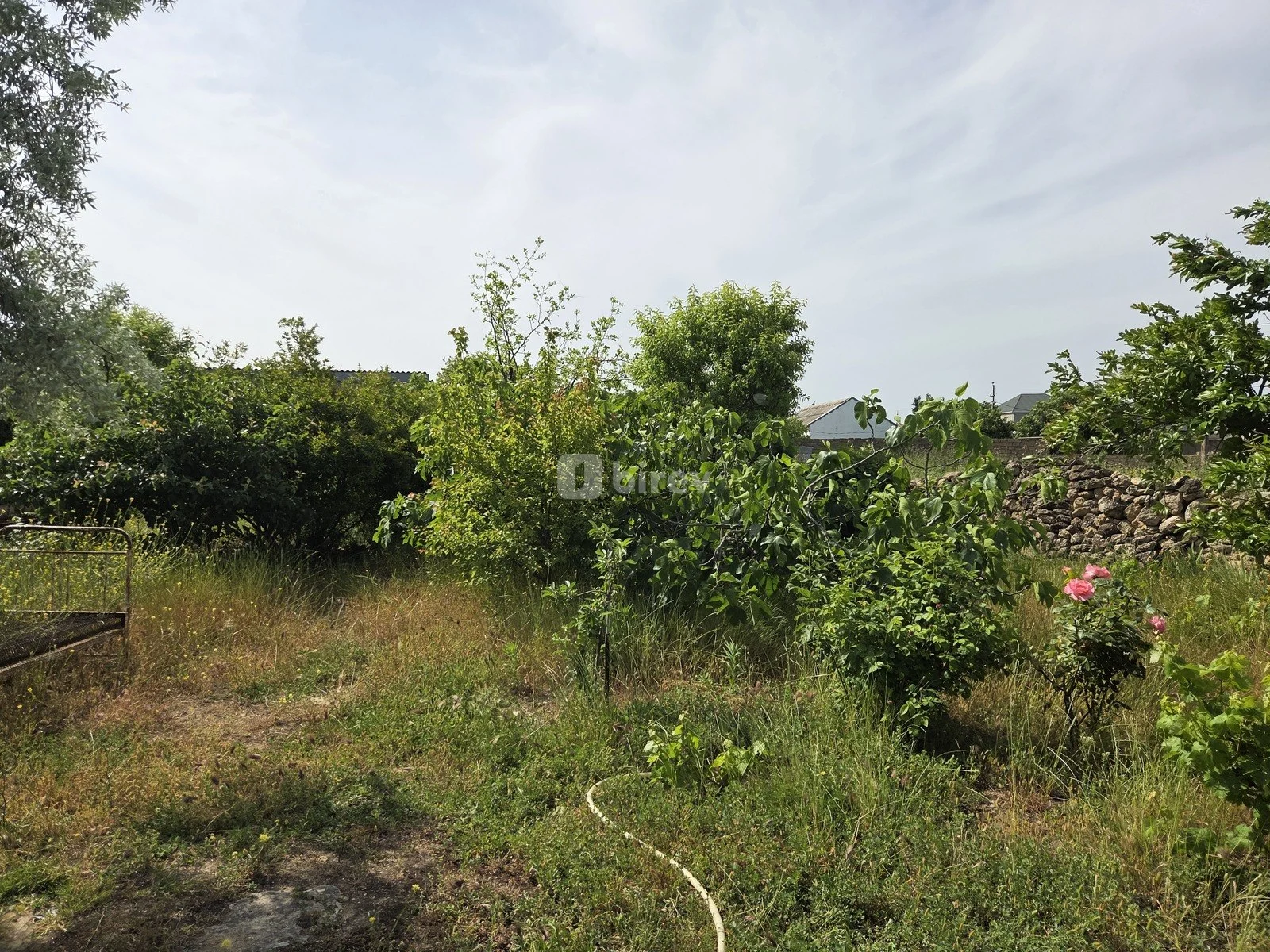 6.4 sot torpaq, Albalılıq q., Albalılıq qəs., Sabunçu rayonu — şəkil 4