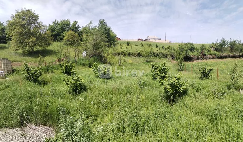 6 otaqlı həyət evi, Hil, Hil kəndi, Qusar rayonu — şəkil 19