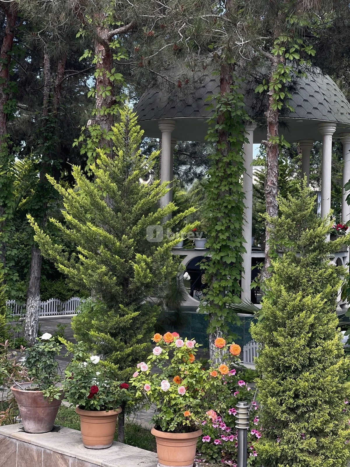 16 otaqlı həyət evi, Şüvəlan q., Hacı Məmmədov küç., Xəzər rayonu — şəkil 10