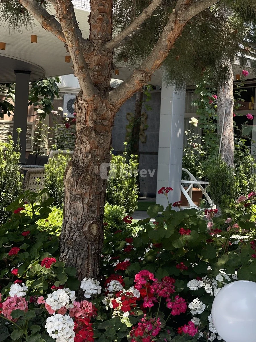16 otaqlı həyət evi, Şüvəlan q., Hacı Məmmədov küç., Xəzər rayonu — şəkil 17