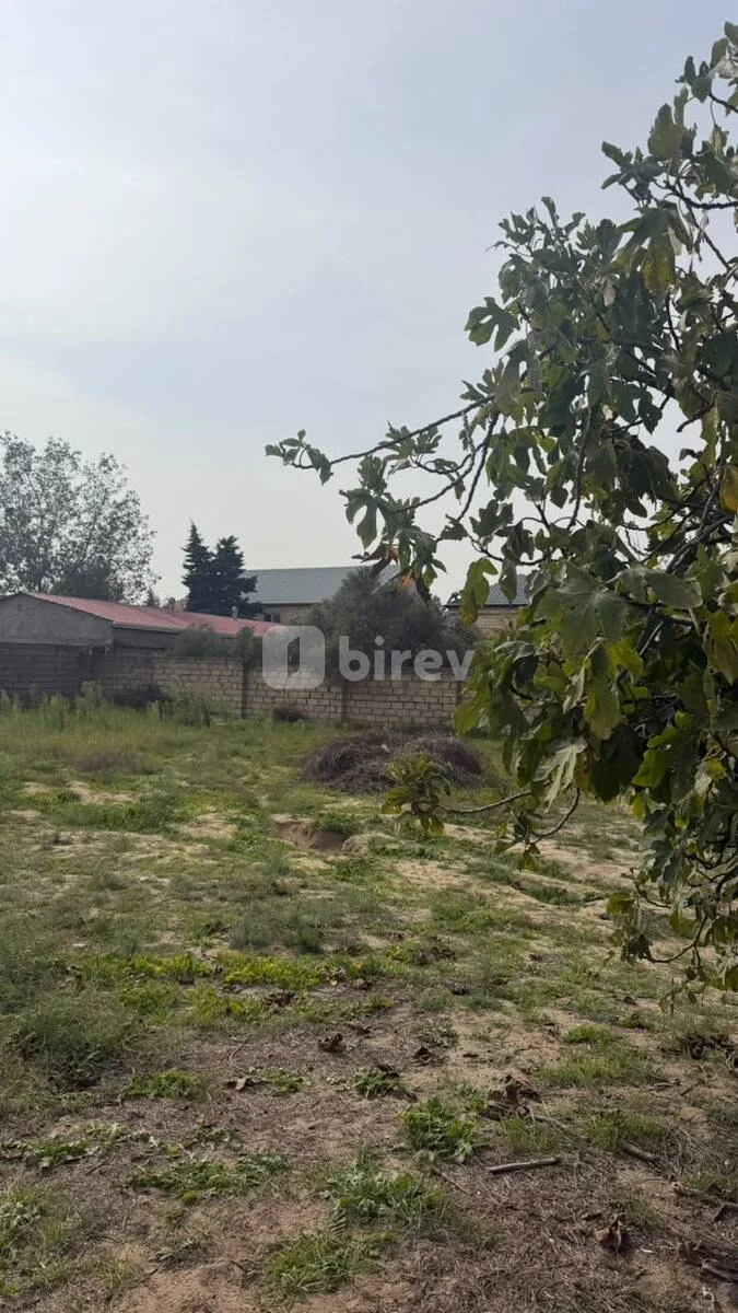 4.2 sot torpaq, Novxanı q., Novxanı qəsəbəsi, Abşeron rayonu — şəkil 2