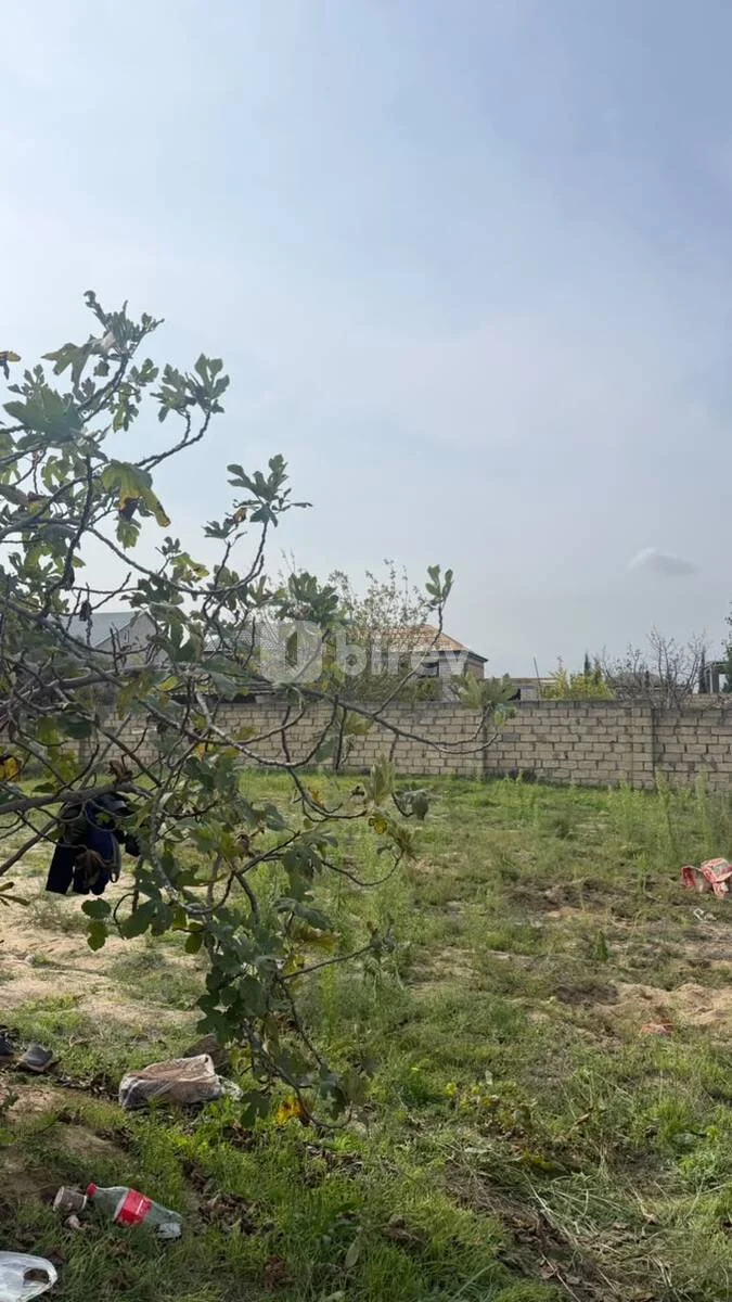 4.2 sot torpaq, Novxanı q., Novxanı qəsəbəsi, Abşeron rayonu — şəkil 4