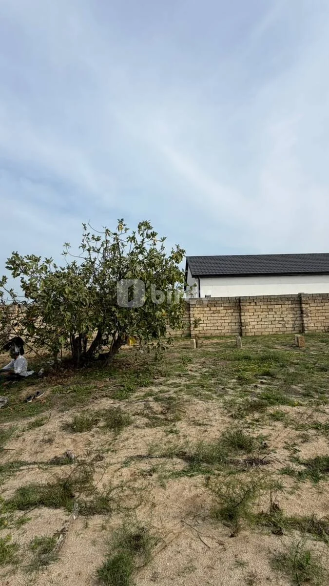 4.2 sot torpaq, Novxanı q., Novxanı qəsəbəsi, Abşeron rayonu — şəkil 10