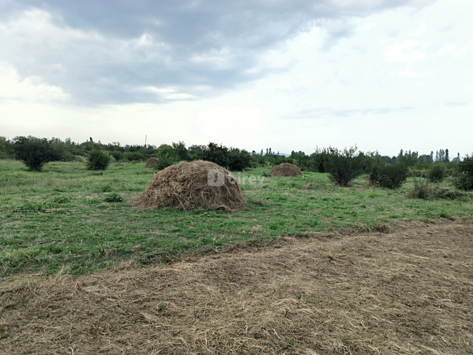 250 sot torpaq, Bum, Qəbələ Rayonu Bum Qəsəbəsi, Qəbələ rayonu — şəkil 3