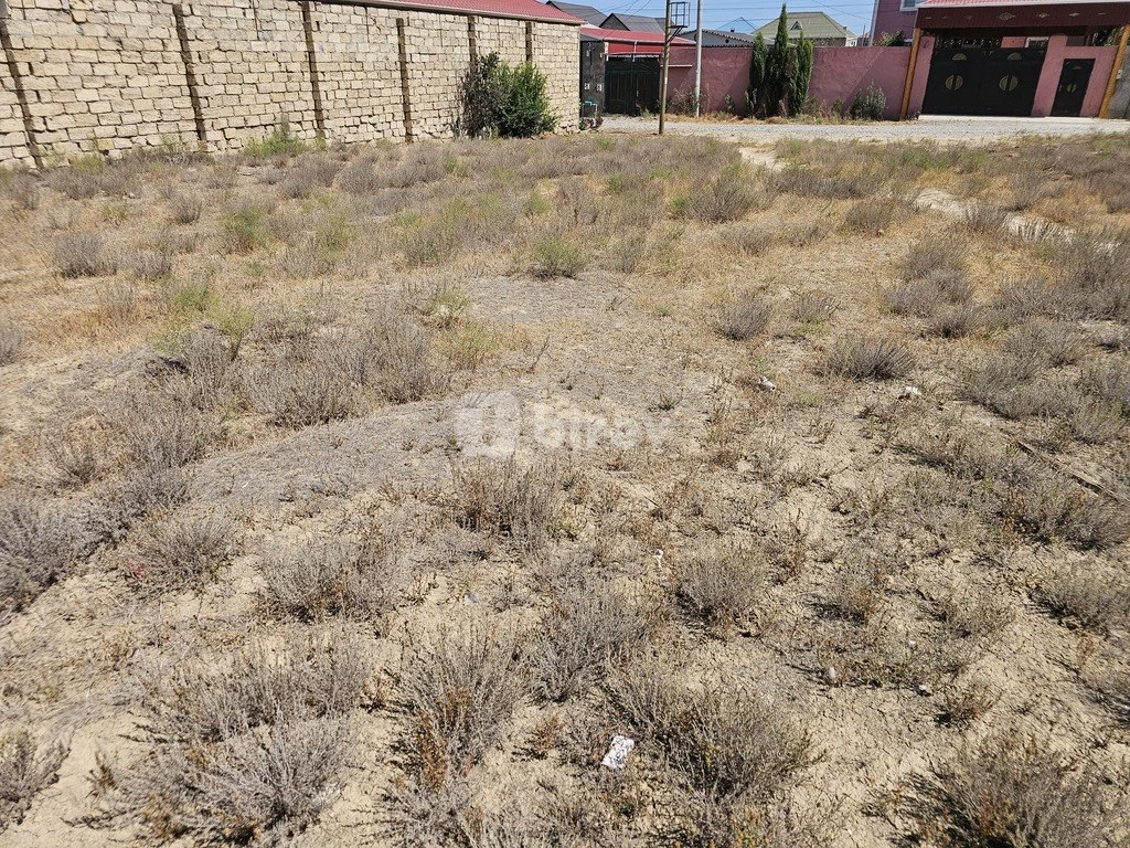 6 sot torpaq, Saray q., Saray qəs., Abşeron rayonu — şəkil 7