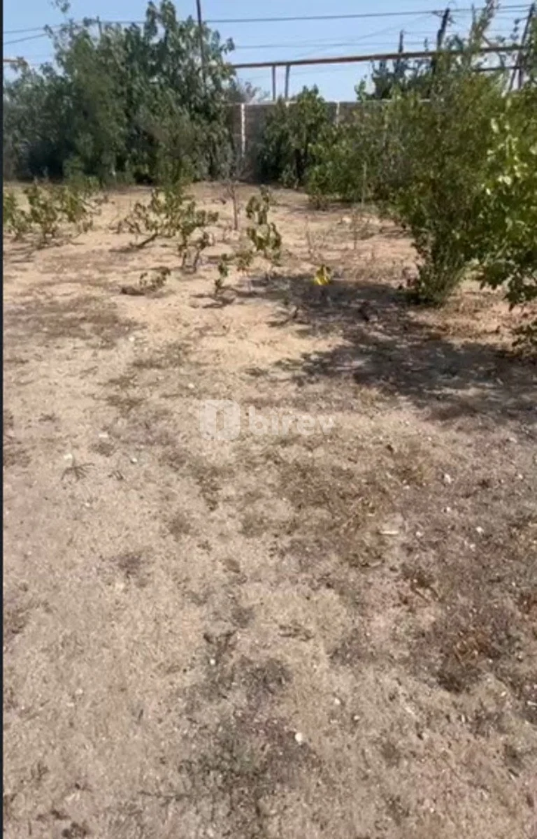 12 sot torpaq, Albalılıq q., Albalılıq q., Sabunçu rayonu — şəkil 1
