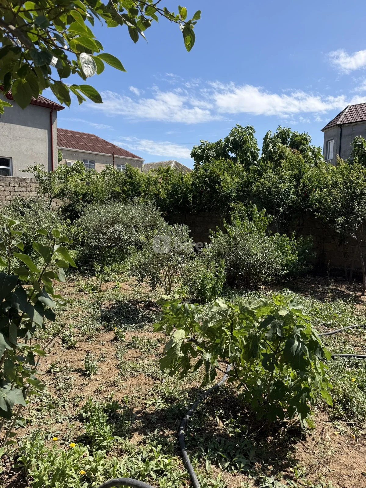 7 otaqlı həyət evi, Mərdəkan q., Mərdəkan qəsəbəsi, Xəzər rayonu — şəkil 12