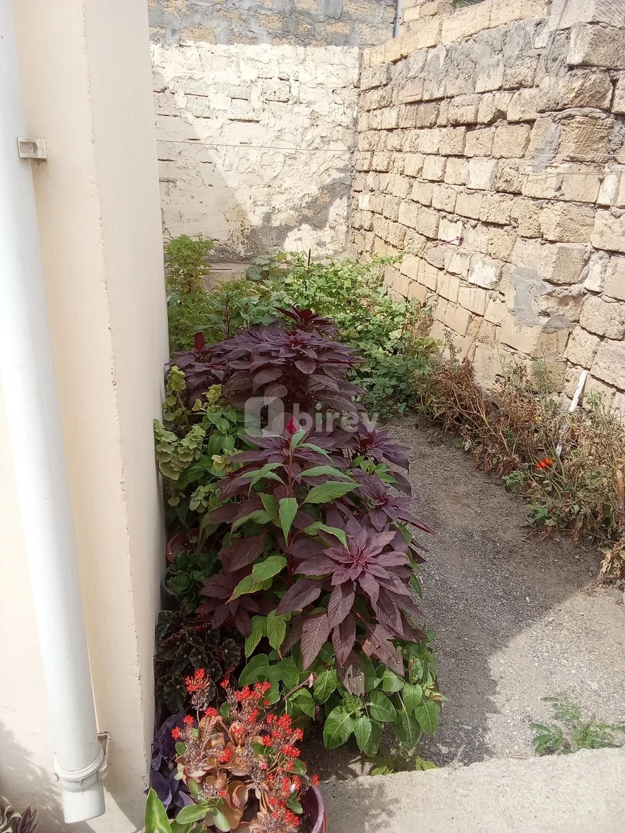 3 otaqlı həyət evi, Binəqədi q., Cəfər Cabbarlı küç., Binəqədi rayonu — şəkil 5