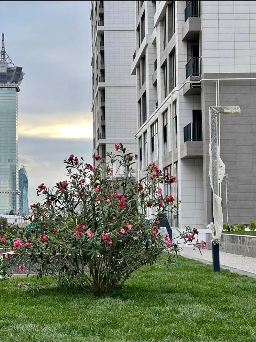 4 otaqlı mənzil, Nizami rayonu, Heydər Əliyev prospekti 189, Bakı şəhəri — şəkil 14
